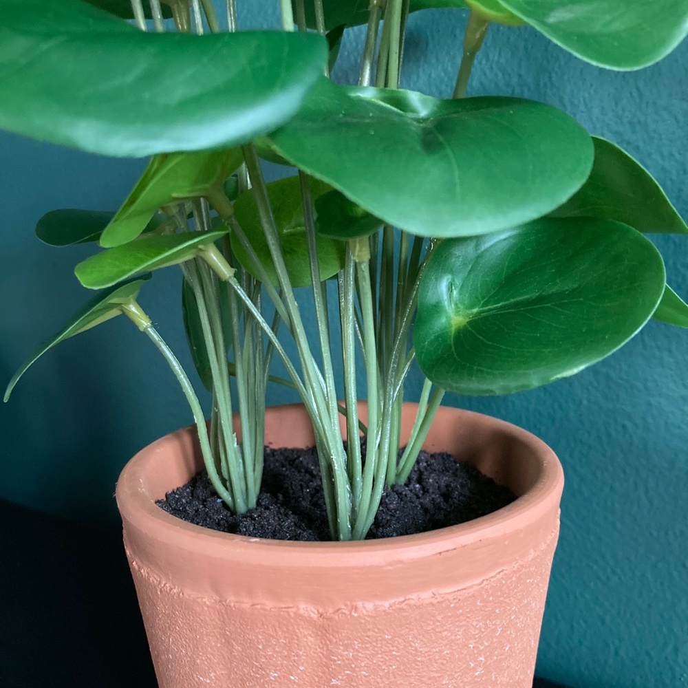 Hearth & Hand Faux Pilea Plant - Picture 4 of 6